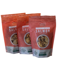 3-Pack - Freeze-Dried Salmon: Single-Ingredient, Grain-Free Dog Treats